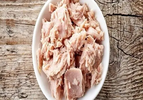 طرز تهیه تن ماهی در منزل