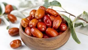 سنجد؛ میوه‌ای تقویت‌کننده قلب و افزایش‌دهنده انرژی در طب سنتی