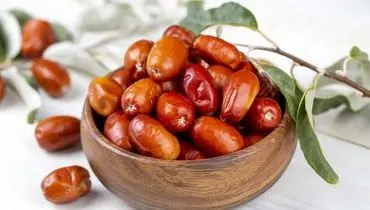 سنجد؛ میوه‌ای تقویت‌کننده قلب و افزایش‌دهنده انرژی در طب سنتی