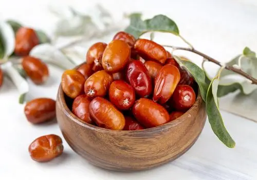 بابا آدم؛ گیاهی موثر برای تسکین سرفه‌های مزمن و تقویت سیستم تنفسی
