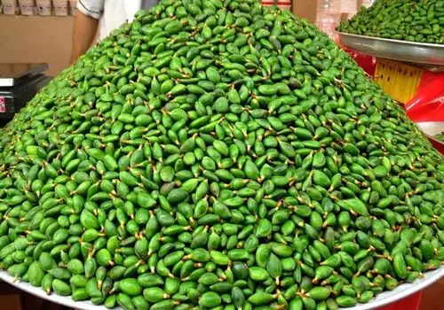 طرز تهیه خورش چغاله بادام+فیلم/ آموزش تهیه خورش بهاره لذیذ
