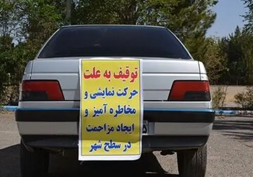 همه پلیس را با چراغ گردان و آژیر میشناسن