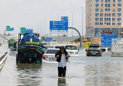 خطرناک ترین ماهی جنوب ایران با سم و تیغ هایی مهلک+ فیلم 