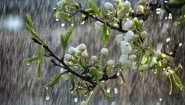 سورپرایز ویژه هواشناسی برای مردم ایران در شب عید+ عکس