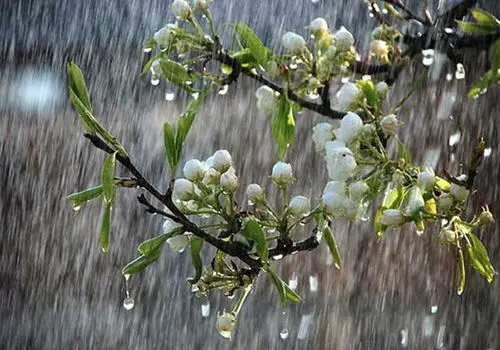 این روزها اصلا به سفر نروید