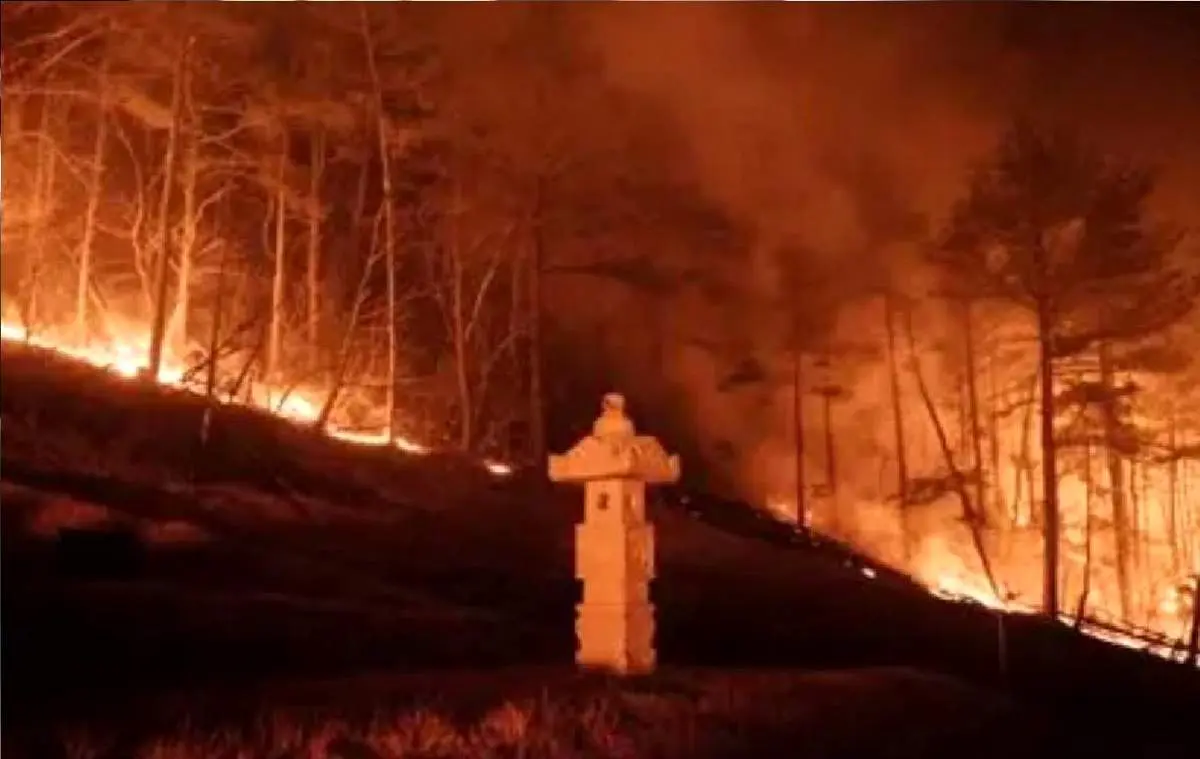 ده‌ها هکتار از جنگل‌های کره جنوبی در آتش سوخت
