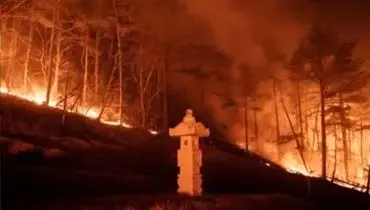 ده‌ها هکتار از جنگل‌های کره جنوبی در آتش سوخت
