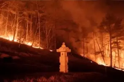 ده‌ها هکتار از جنگل‌های کره جنوبی در آتش سوخت
