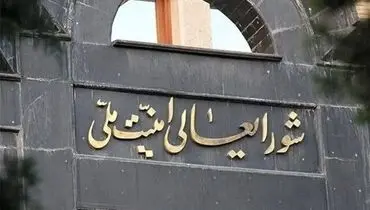 اطلاعیه شورای عالی امنیت ملی: مسیر همکاری با آژانس تعلیق خواهد شد