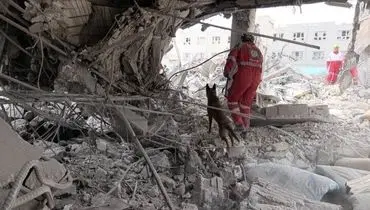 رئیس جمعیت هلال‌احمر از نجات ۸۰۰ مصدوم زنده در این شهر خبر داد

