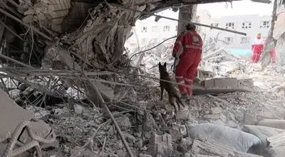 رئیس جمعیت هلال‌احمر از نجات ۸۰۰ مصدوم زنده در این شهر خبر داد

