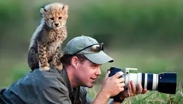 ۷ لحظه فراموش‌نشدنی از حیات وحش با نگاه عکاسان برتر+ عکس

