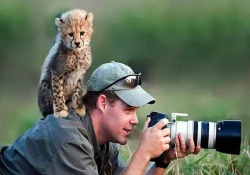 ۷ لحظه فراموش‌نشدنی از حیات وحش با نگاه عکاسان برتر+ عکس

