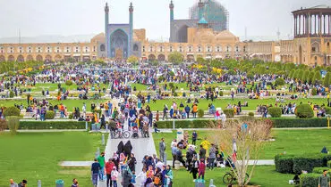 سفر کردن چه ارزان!