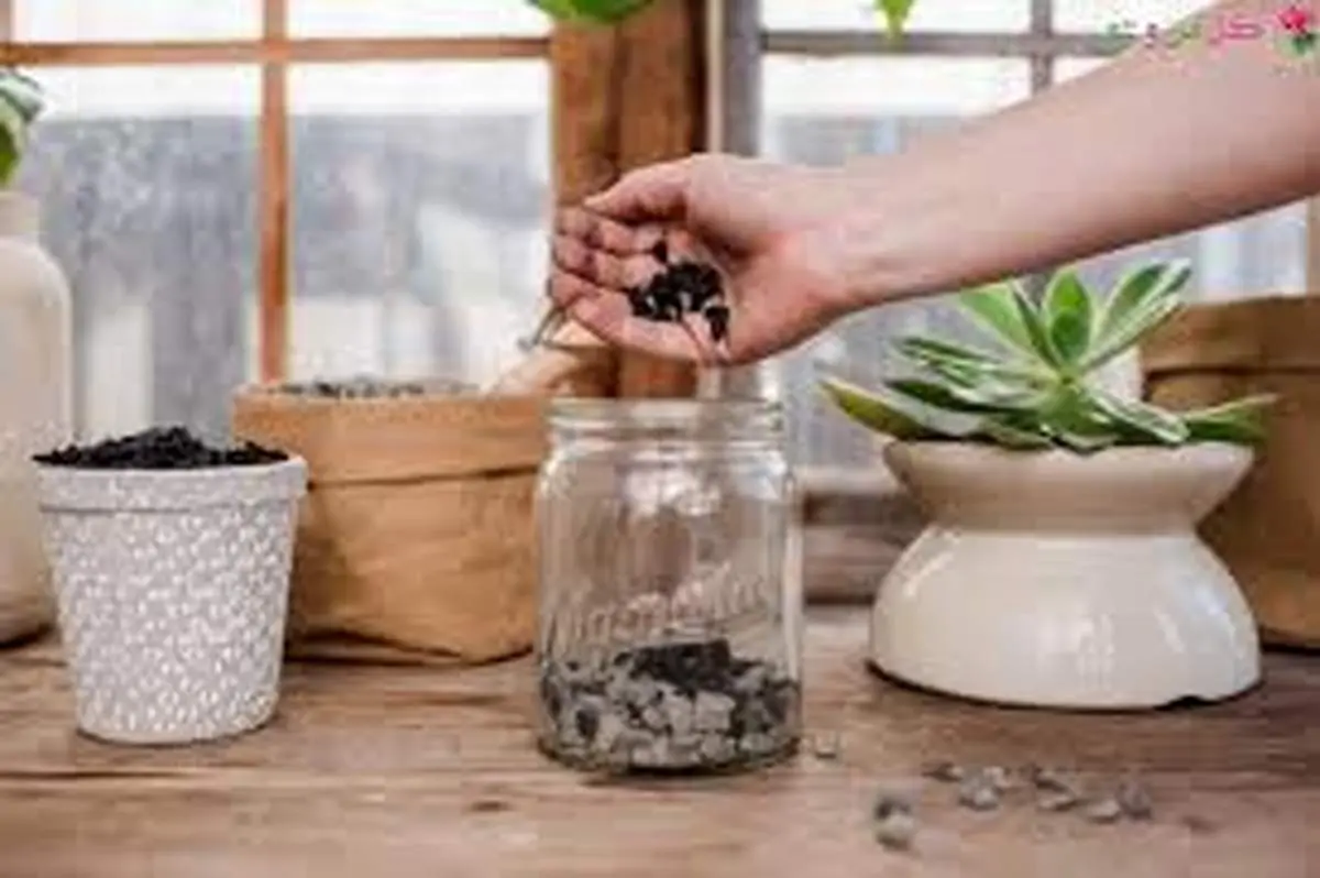 چرا زیر گلدان باید سوراخ باشد؟
