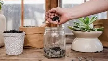 چرا زیر گلدان باید سوراخ باشد؟

