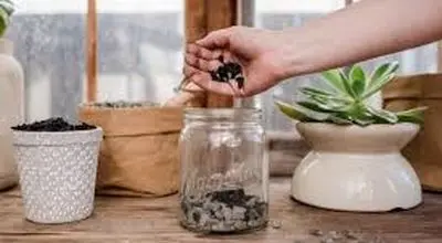 چرا زیر گلدان باید سوراخ باشد؟
