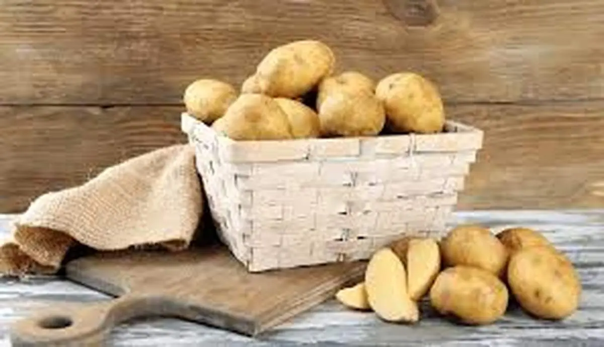 چرا سیب زمینی تلخ می شود؟
