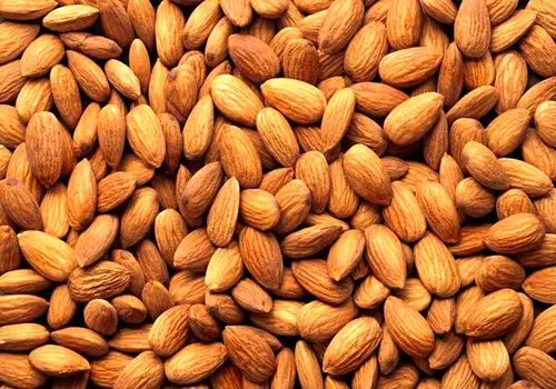 ارتباط مصرف بادام با بهبود سلامت قلب
