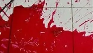 پسر 25 ساله که خاله خود را به قتل رساند، در دادگاه حاضر شد