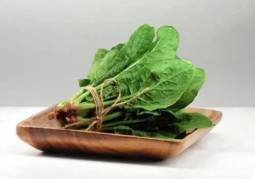 مصرف این غذاها سبب خستگی می‌شود