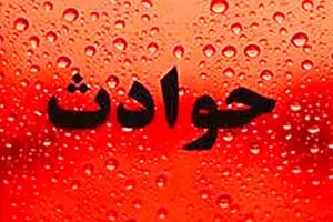 
نجات ۱۵ ساکن از آتش‌سوزی شدید در ساختمان مسکونی نعمت‌آباد/ دو نفر دچار سوختگی و دودگرفتگی شدند
