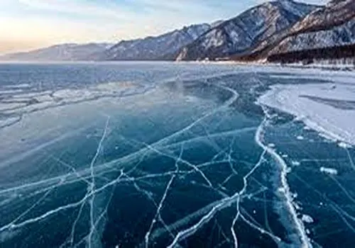 بزرگ‌ترین گل جهان چه ویژگی‌هایی دارد؟ | عکس