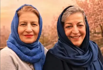 دلیل تذکر احترام برومند به لیلی رشیدی فاش شد + فیلم
