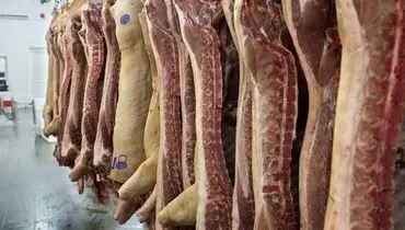  کشف انبار مخفی گوشت سگ در یک قصابی کرمان + فیلم