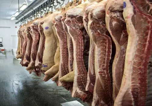 آمار عجیب اتباع افغانستانی ساکن در کرمان
