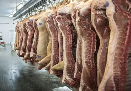 آمار عجیب اتباع افغانستانی ساکن در کرمان
