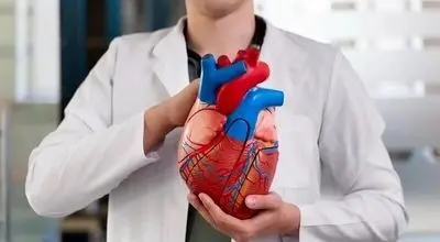 قلب خود را با این ماده مغذی بیمه کنید