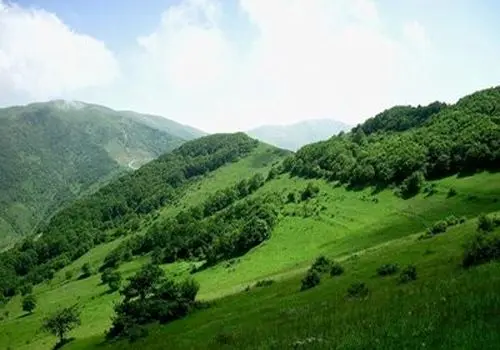 از بین بردن چروک پرده با چند ترفند ساده
