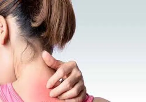 
افراد صبح گاهی در مقابل شب زنده دار چه راهی برای انرژی باید بخورند
