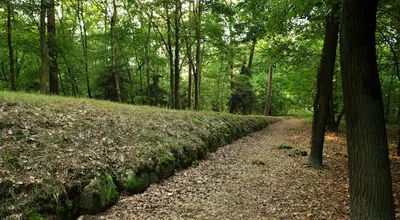 راز اهرام لهستان گشوده شد؛ کشف ۱۵۰ سکونتگاه باستانی+تصاویر