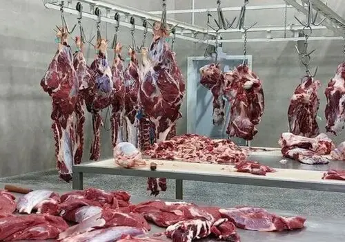 حداکثر قیمت گوشت با ارز آزاد اعلام شد