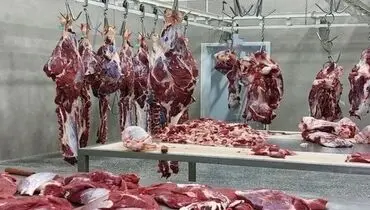 گوشت ارزان وارد بازار شد؛ کاهش ۵۰۰ هزار تومانی هر کیلو