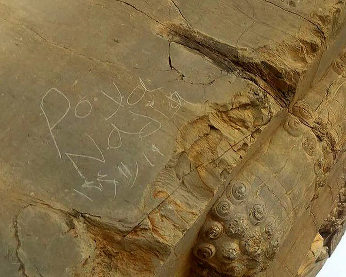 یادگارنویسی تازه در تخت جمشید+ عکس