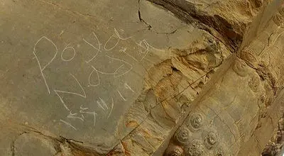 یادگارنویسی تازه در تخت جمشید+ عکس