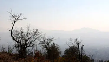 پیش‌بینی وضعیت جوی تهران تا پایان هفته + جزئیات مهم
