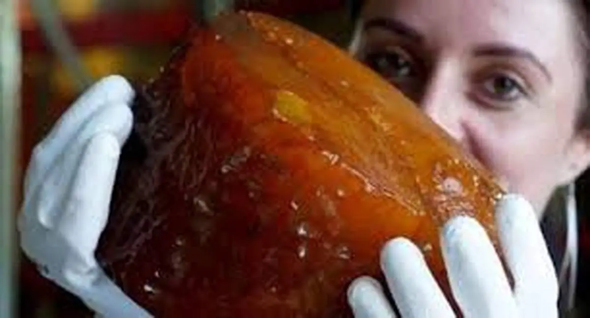 کشف شگفت‌انگیز «بزرگ‌ترین قطعهٔ کهربای جهان» با قدمت 70 میلیون سال + عکس