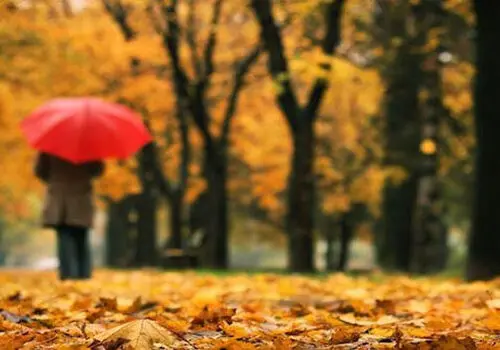 کدام غذاها خلق‌وخوی را بهتر می کند؟
