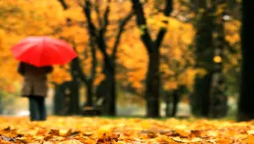 چگونه فصل‌ها بر خلق‌وخو تأثیر می‌گذارند