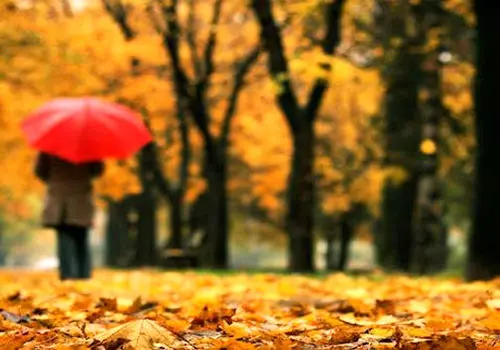 چگونه فصل‌ها بر خلق‌وخو تأثیر می‌گذارند