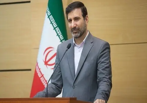 علت عدم تایید صلاحیت کاندید زن از زبان سخنگوی شورای نگهبان+ فیلم