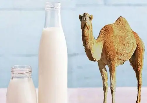 با عوامل ابتلا به آسم آشنا شوید 