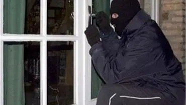 سرقت های سریالی موزه های اروپا ادامه دارد!