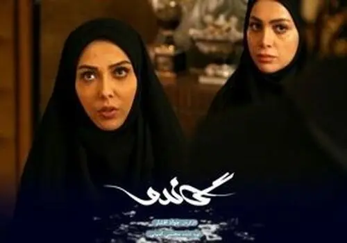 عشق در قاب؛ تصویر جدید نیلوفر شهیدی و همسرش!