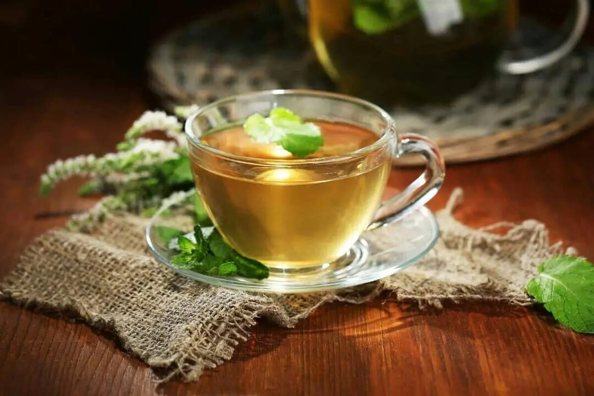 ۵ روش طبیعی و خانگی برای تسکین فوری درد کلیه