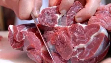 قیمت گوشت قرمز کاهش می‌یابد/ واردات گسترده دام زنده و گوشت در تمام بنادر کشور
